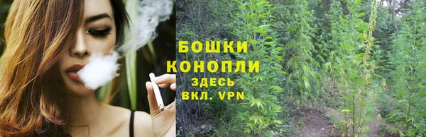 хмурый Балабаново
