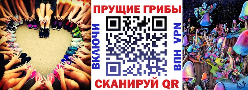 гидра ссылка  купить наркотик  Афипский  Галлюциногенные грибы GOLDEN TEACHER 